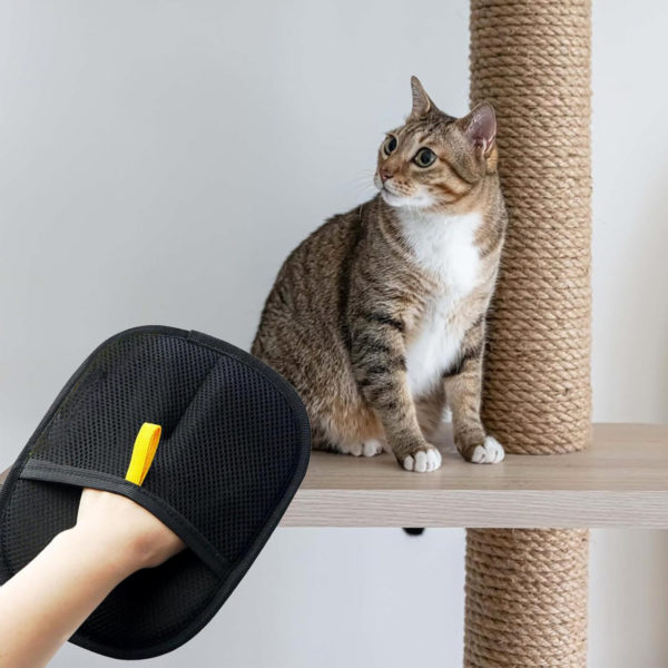 Pet Electrostatic Hair Removal Gloves - Image 8