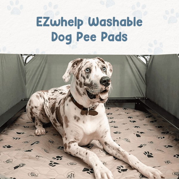 Reusable Dog Pee Pads - Image 2