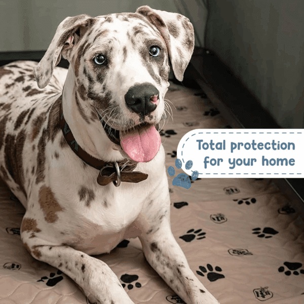 Reusable Dog Pee Pads - Image 5